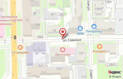 Милена на улице Савиных на карте