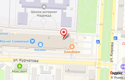 Сервисный центр Pedant.ru на улице им. Курчатова на карте