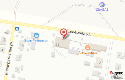 СТО Партторг-сервис на Северной улице на карте