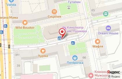 Манекен на улице Пушкина на карте