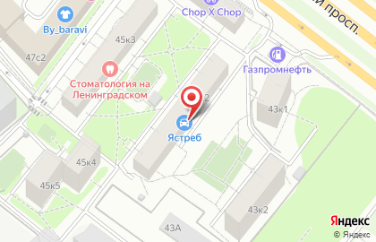 Ястреб на карте