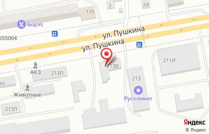 Транспортная компания Борус на улице Пушкина на карте