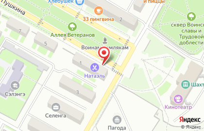 Компания по продаже билетов на улице Пушкина на карте