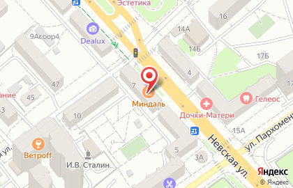 Четыре лапы на Невской улице на карте