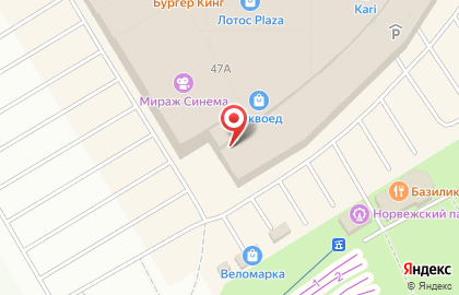 Сервисный центр Pedant.ru на Лесном проспекте на карте