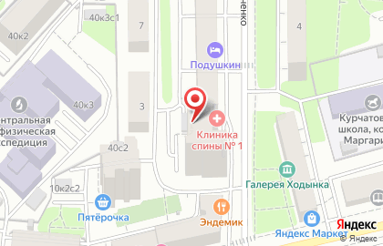 Клиника лечения спины и суставов №1 на улице Ирины Левченко на карте
