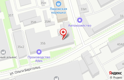 Апекс на улице Ольги Берггольц на карте