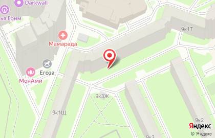 Топтыжка на проспекте Большевиков на карте