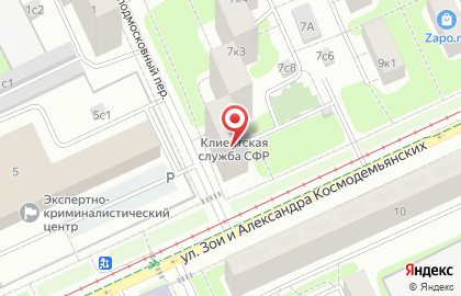 Цветы мира на улице Зои и Александра Космодемьянских на карте