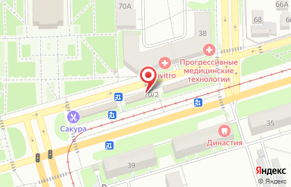 Магазин зоотоваров Таити в Металлургическом районе на карте