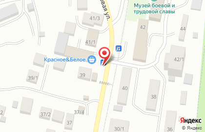 Сеть стрит-кафе Папа Гриль на улице Ленина на карте