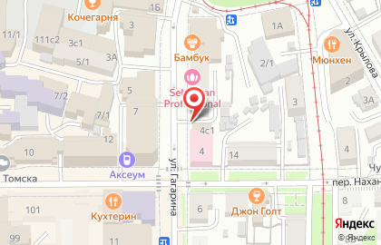 Рыбная лавка на улице Гагарина на карте