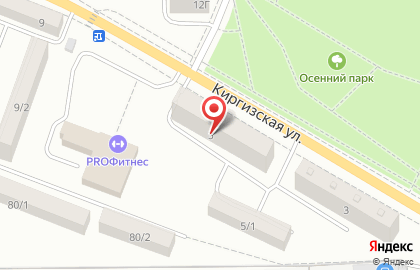 Сервисный центр ТВ Мастер на Киргизской улице на карте