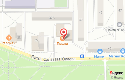 Кафе быстрого питания Пышка на улице Салавата Юлаева, 35а на карте