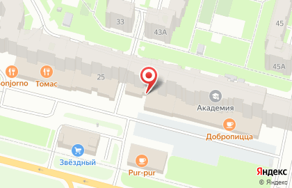Магазин у дома Бристоль на Шекснинском проспекте на карте