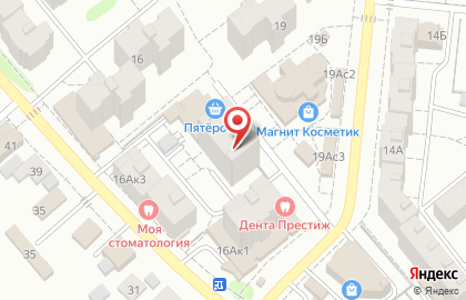 Магазин зоотоваров Кот и Пёс на Революционной улице на карте