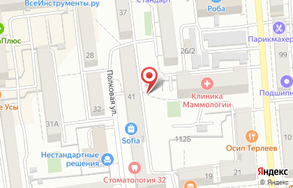Visage на улице Маяковского на карте