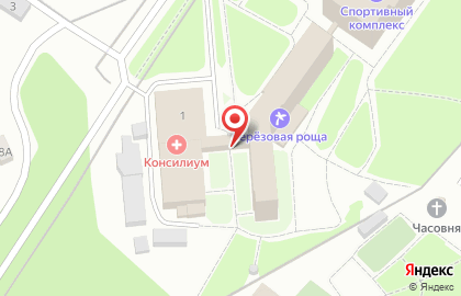 Берёзовая роща на Санаторной улице на карте