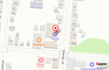 медведь на улице Ленина на карте