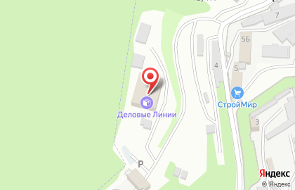 Деловые Линии на карте