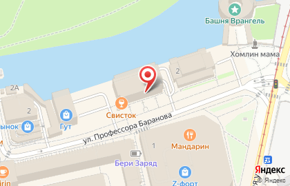 Оптика Smart Vision на улице Профессора Баранова на карте