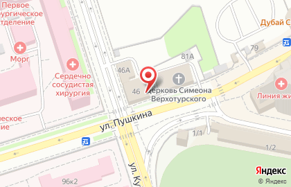 Клиника Евромедсервис на улице Пушкина на карте