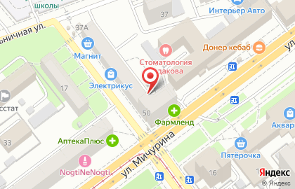 Orto на улице Мичурина на карте