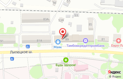 Единый визовый центр в Мичуринске на карте