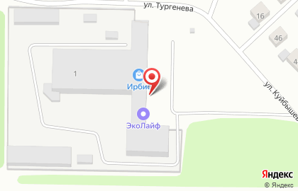 Компания ЭкоЛайф на улице Тургенева на карте