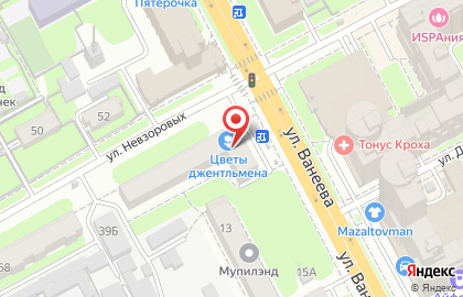 Салон Маэстро в Нижнем Новгороде на карте