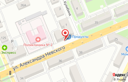 Продовольственный магазин на улице Александра Невского на карте