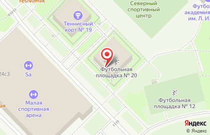 Футбольное поле Лужники на карте