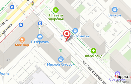 Божья коровка на улице Павла Шаманова на карте