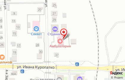 Южно-Сахалинская детская городская поликлиника в Южно-Сахалинске на карте
