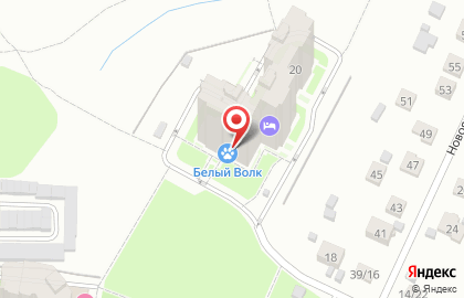 Клиника Белый Волк на карте