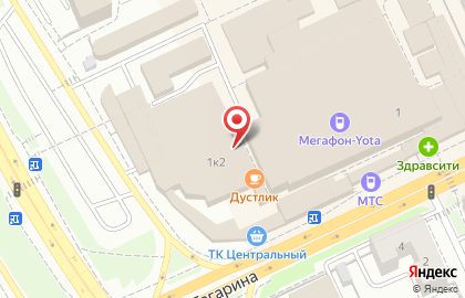 Магазин Альпари на улице Юрия Гагарина на карте