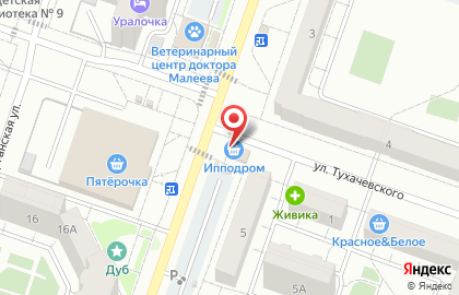 Магазин пива и рыбы Ипподром на карте