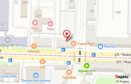 Сеть цветочных салонов Камелия на улице Чкалова на карте