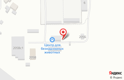 Центр для безнадзорных животных на карте
