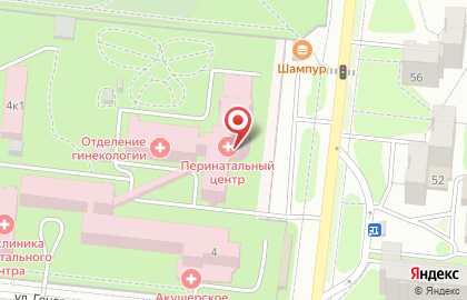 Орловский перинатальный центр Научно-клинический многопрофильный центр медицинской помощи матерям и детям им. З.И. Круглой на карте