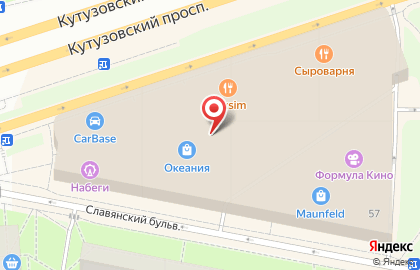Бутик ювелирных изделий Tous на Кутузовском проспекте на карте
