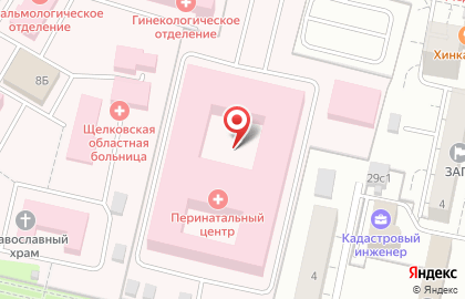 Щелковский перинатальный центр на карте