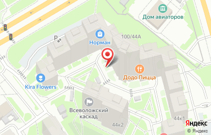 Магазин разливного пива в Санкт-Петербурге на карте