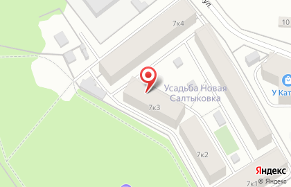 Усадьба Новая Салтыковка, ООО ХАНТ-ХОЛДИНГ на Школьной улице на карте