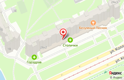 СберБанк России на Коллонтае, 24 к2 на карте