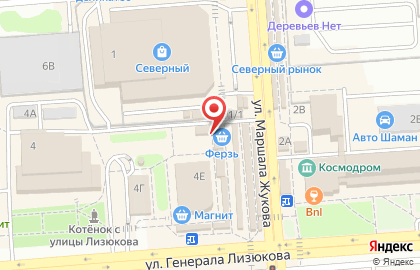 Киоск по продаже мясной продукции на улице Генерала Лизюкова на карте
