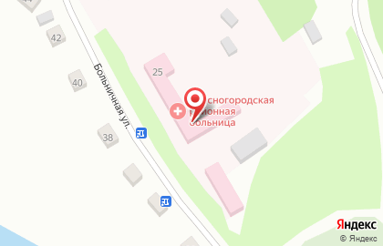 Опочецкая межрайонная больница на Больничной улице на карте