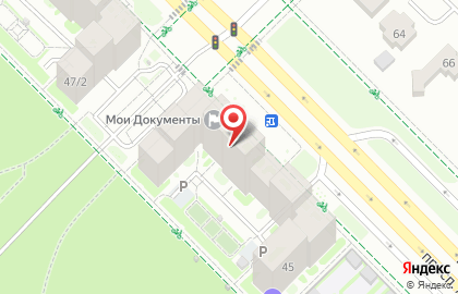 Зоомагазин Petto на карте