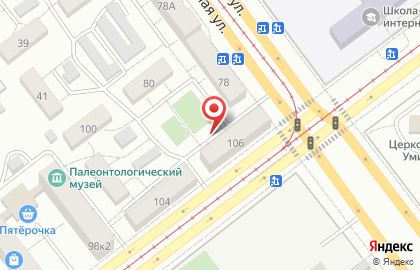 Тигр 21 на Ставропольской улице на карте