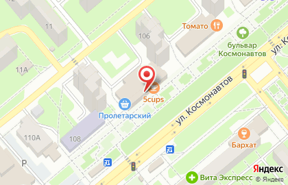 Магазин трикотажа и домашнего текстиля и домашнего текстиля на улице Космонавтов на карте